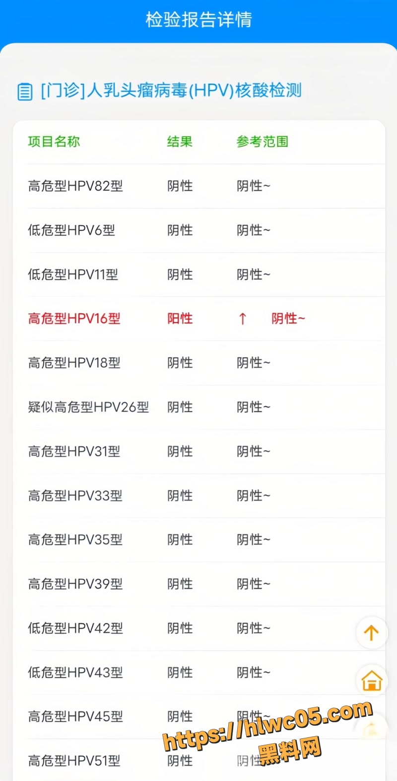 金天龙 36wm