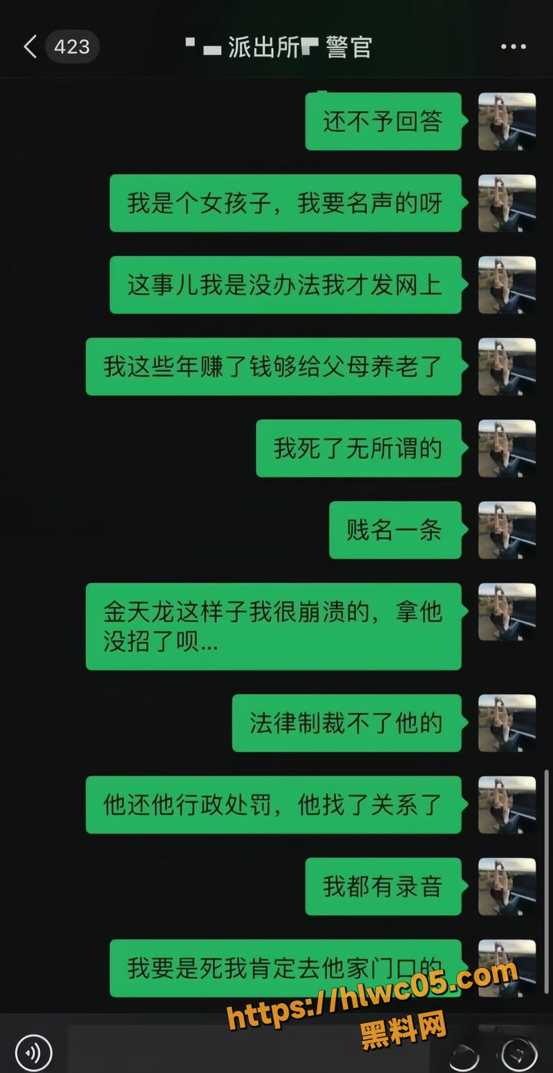 金天龙 13wm