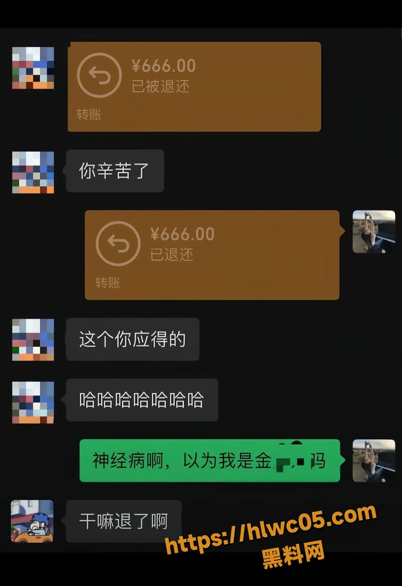 金天龙 17wm