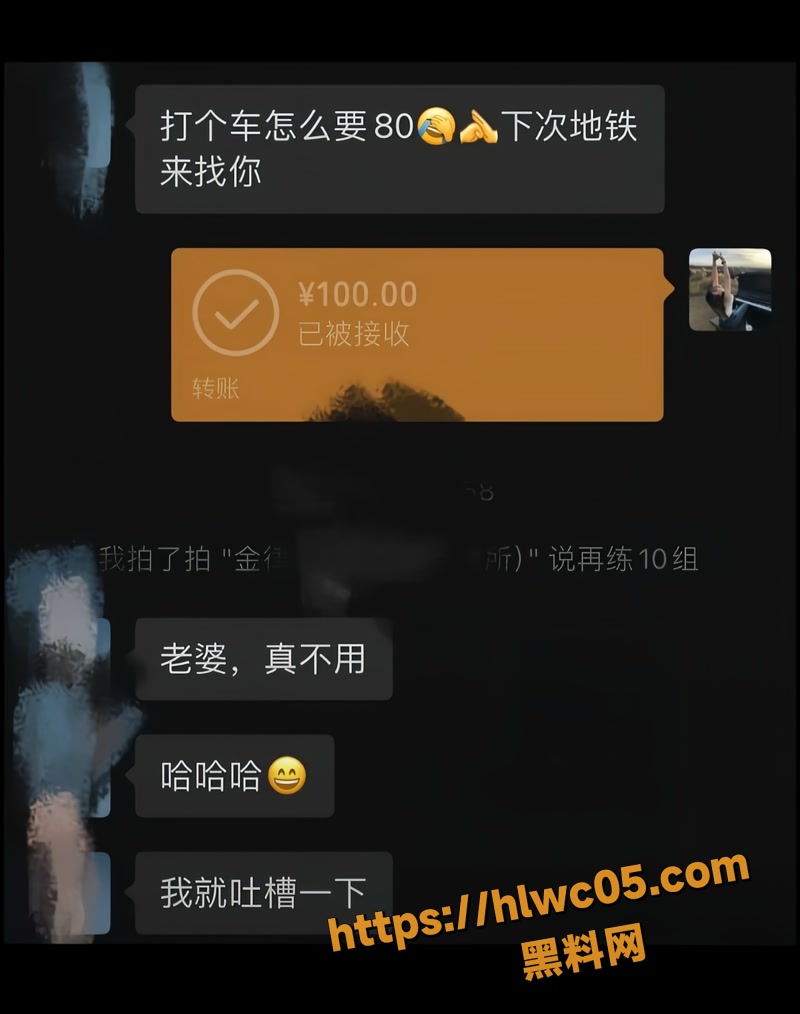 金天龙 19wm