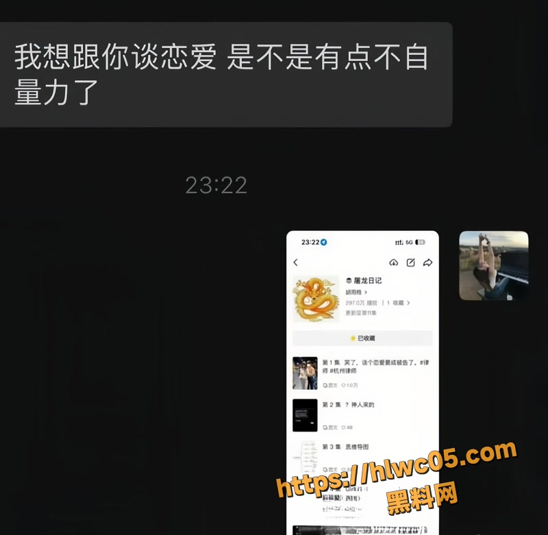 金天龙 30wm