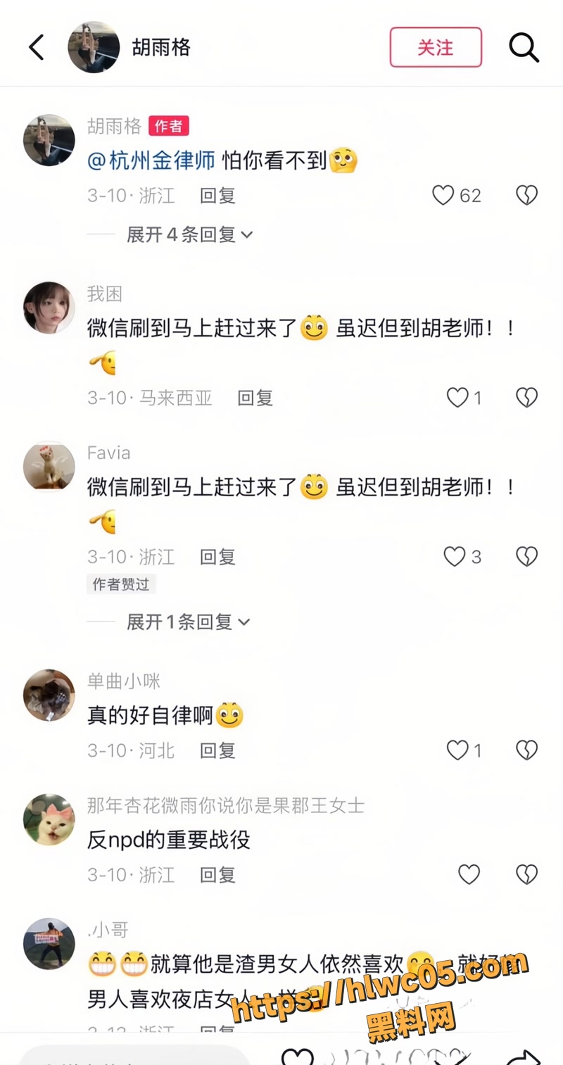 金天龙 31wm