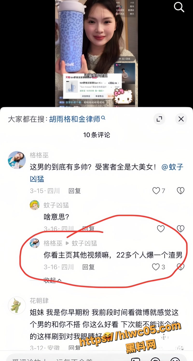 金天龙 33wm
