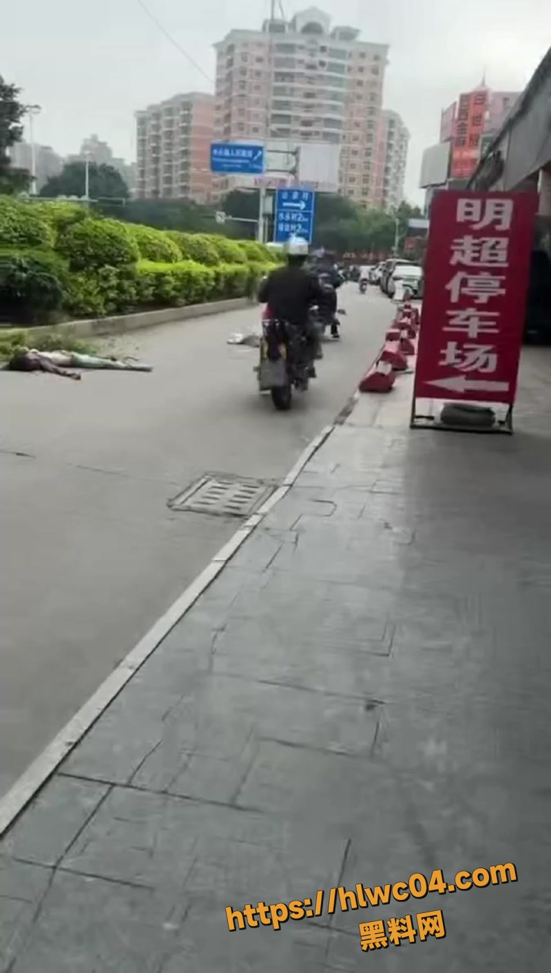 驾车逆行 