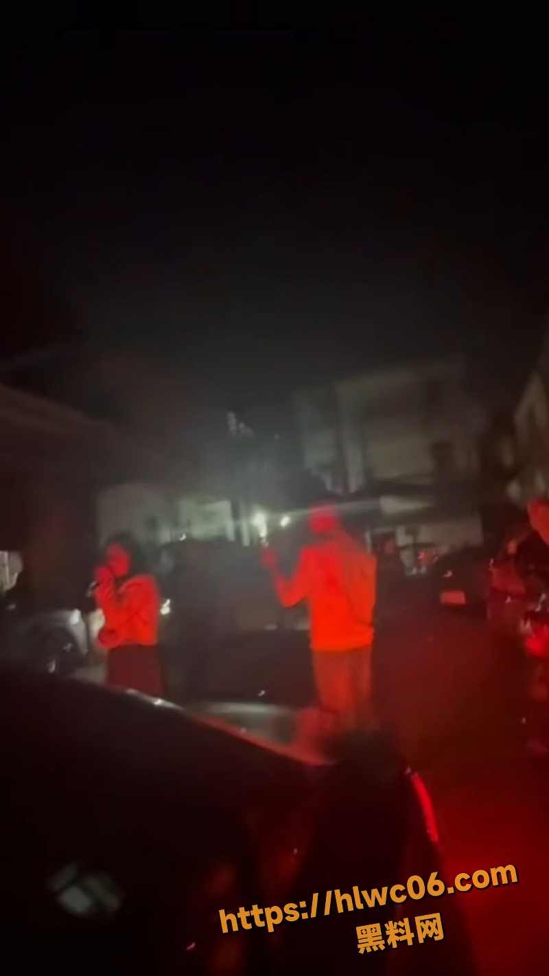 男子野外车震被抓现行3