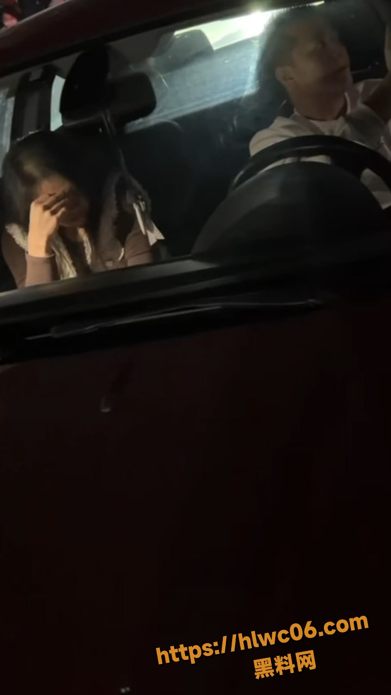 男子野外车震被抓现行6