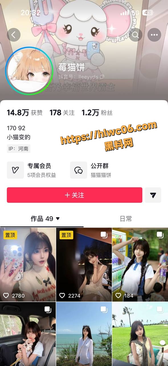 抖音网红莓猫饼资源合集1