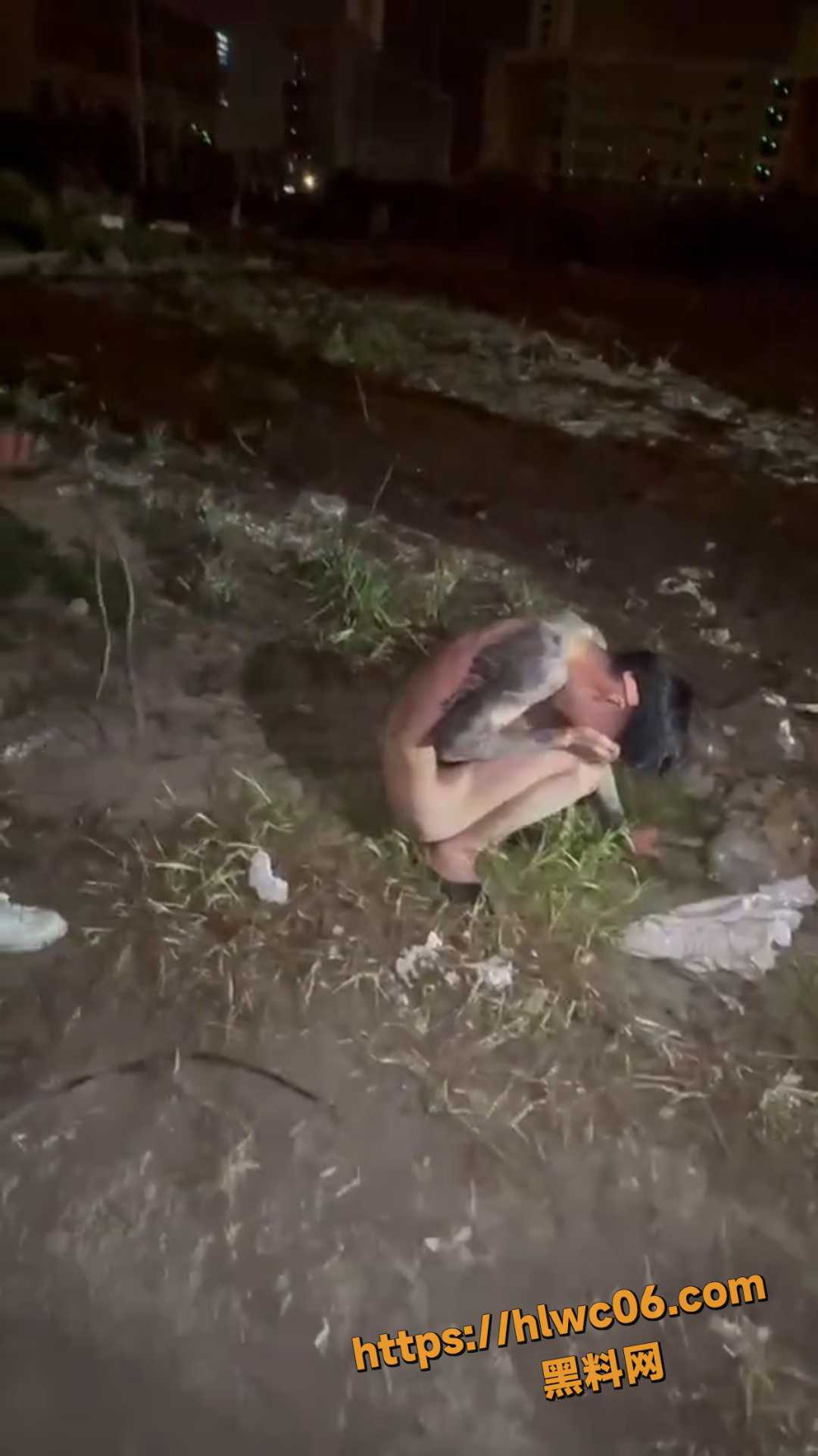 群殴
