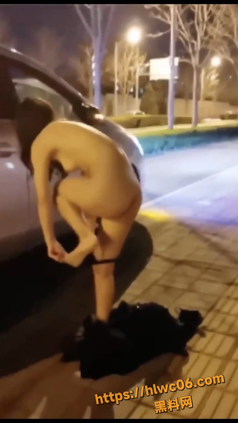街头女子当众自慰裸奔3