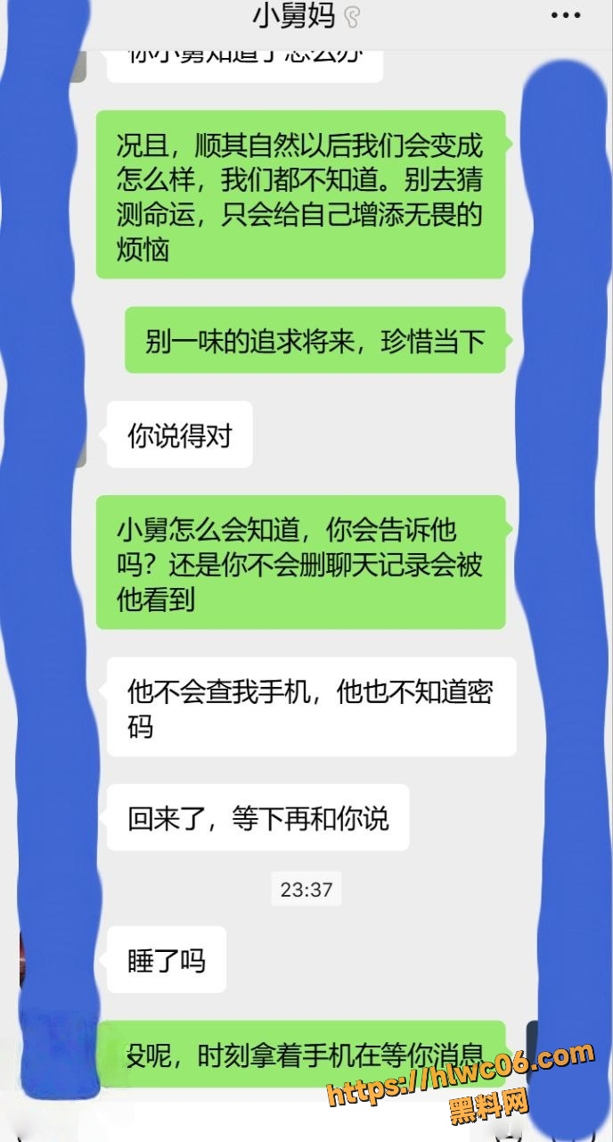 舅妈的爱情故事29