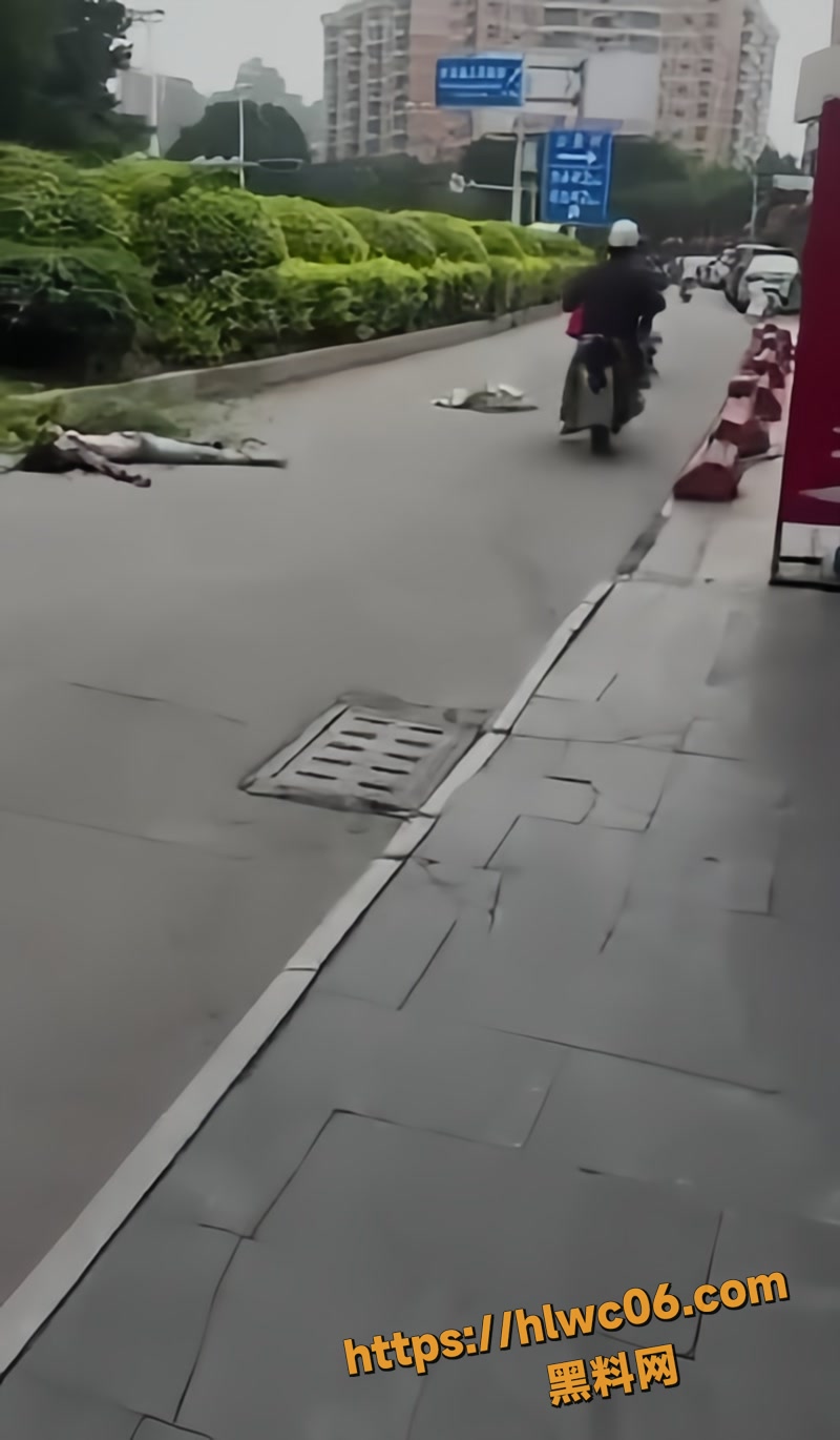 泉州南安水头镇醉驾车祸wm