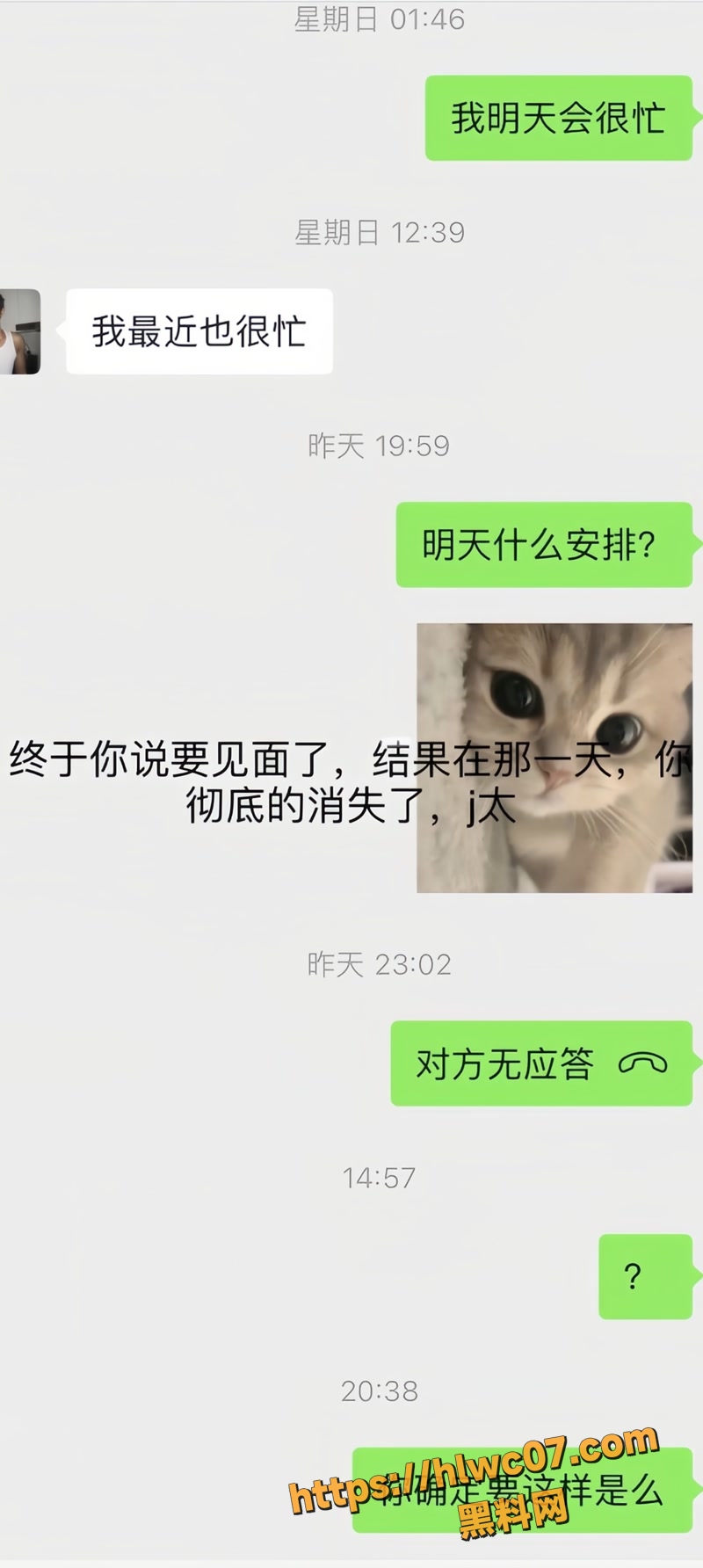 金太 10wm