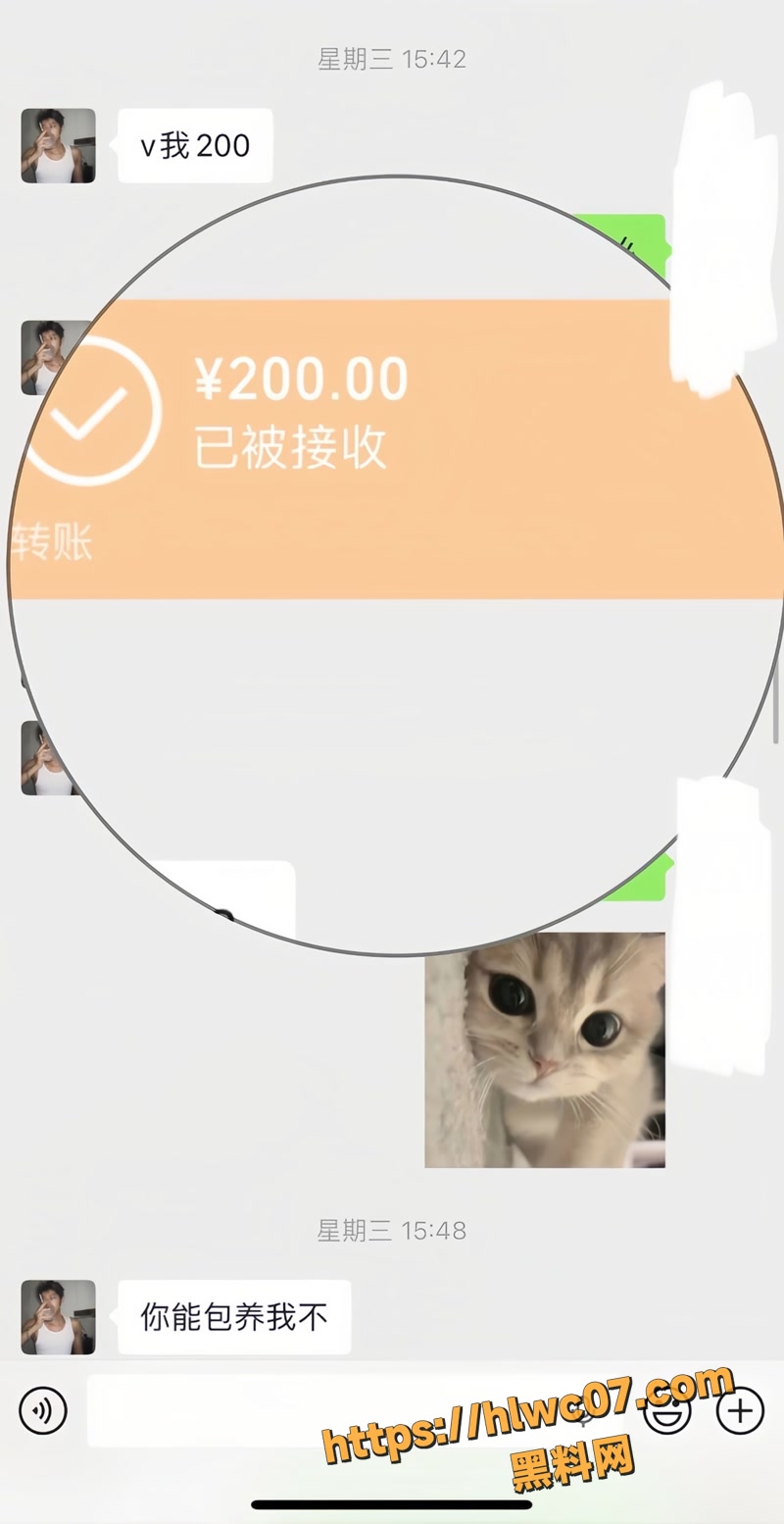 金太 16wm