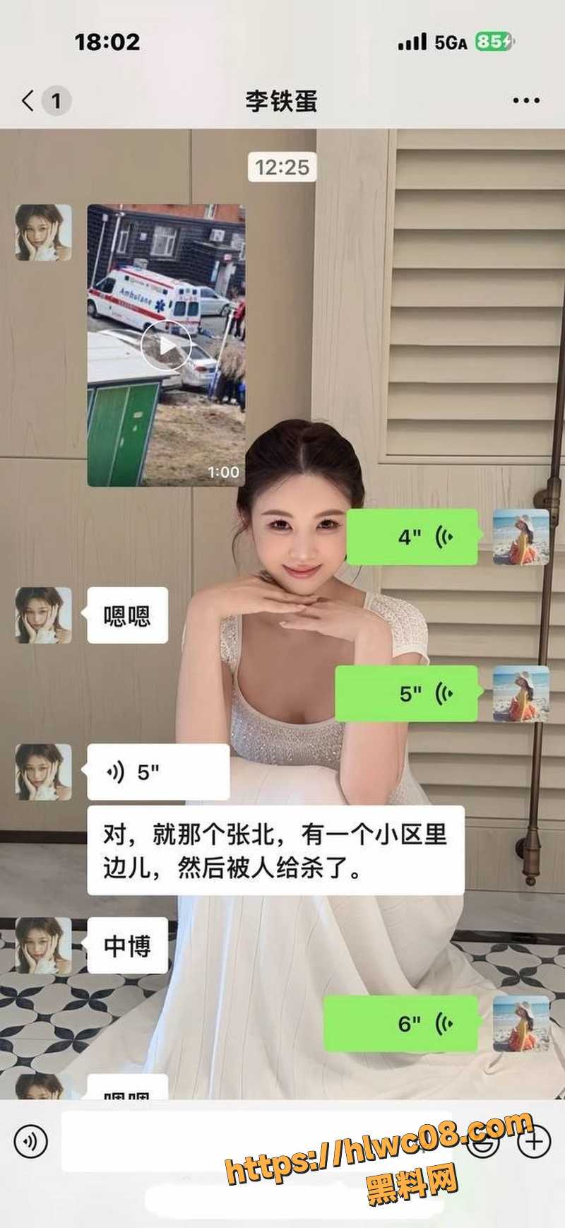河北张北中博嘉苑杀人案3