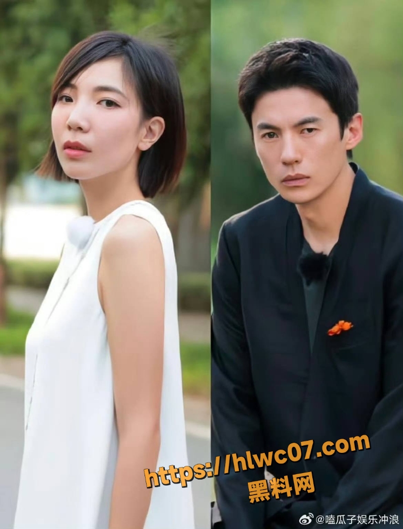 张婉婷疑似介入高云翔婚姻5