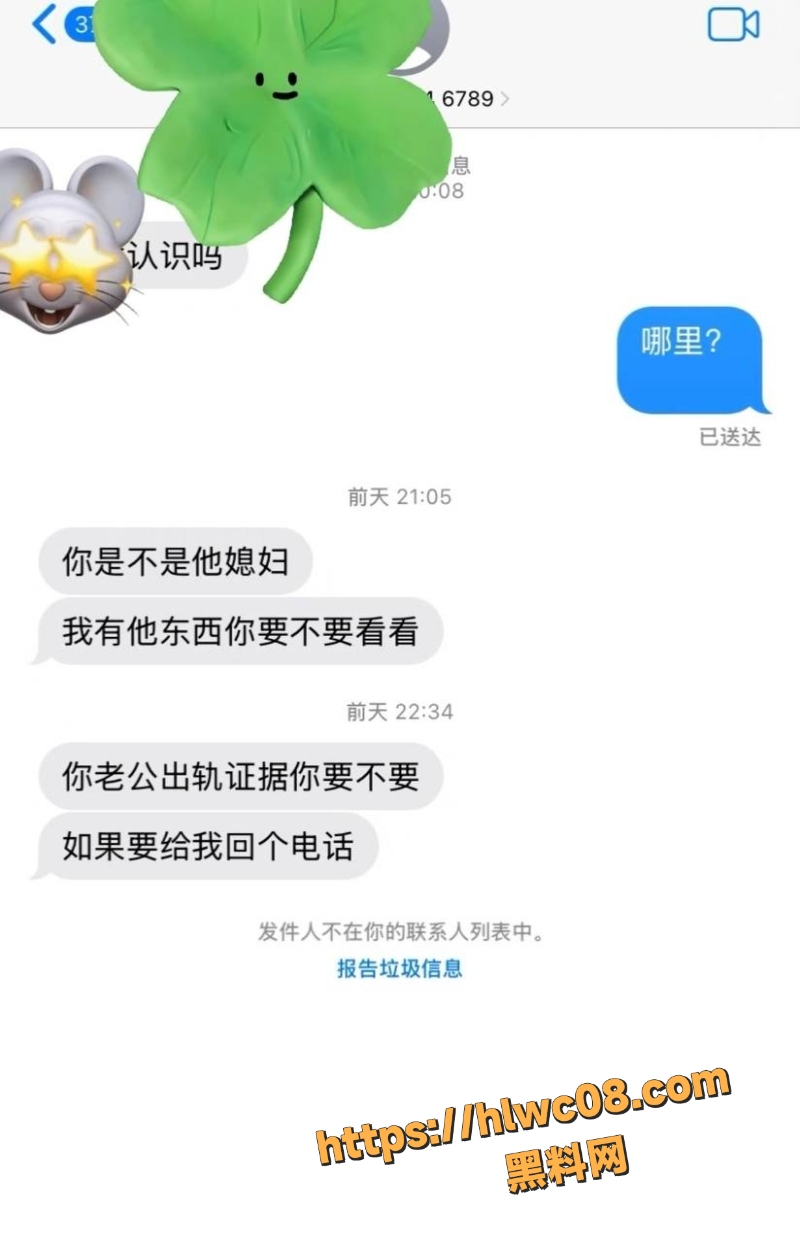 孙吉海外四千万资产争议1