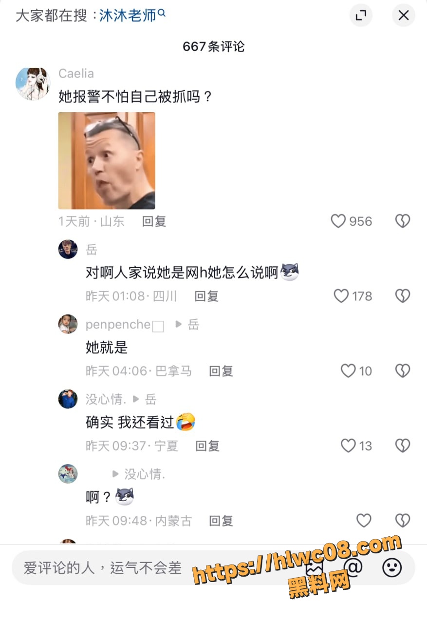 网红 2