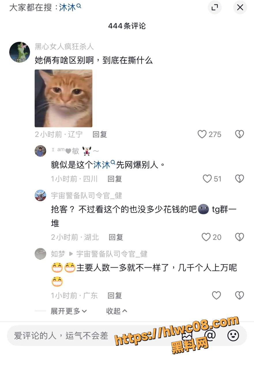 网红 4