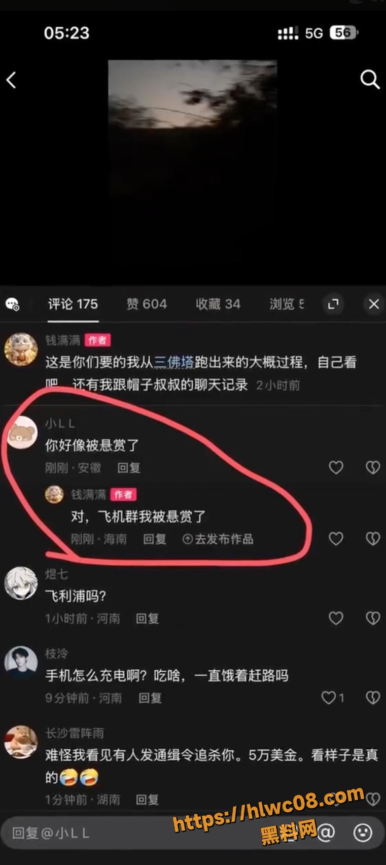 网友评论 5