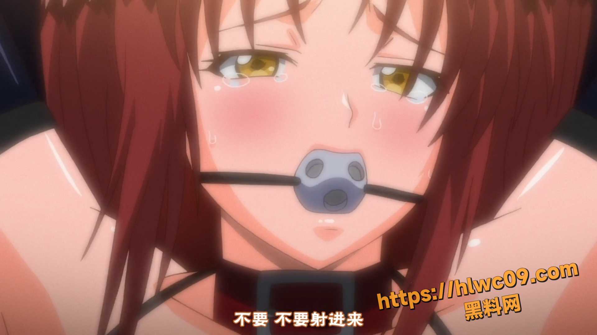 里番动漫