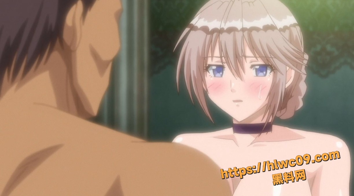 银色骑士 1