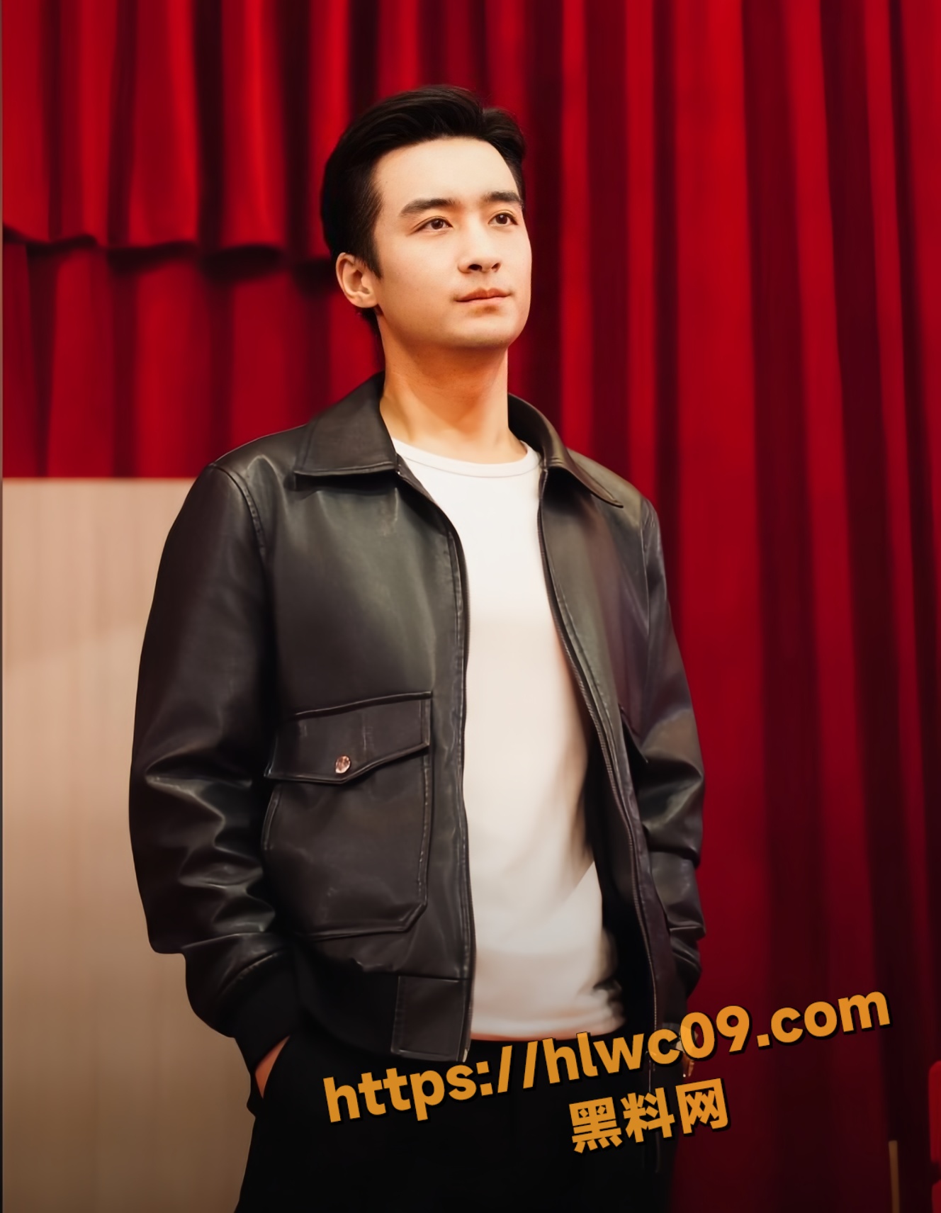 王家霖不雅视频19