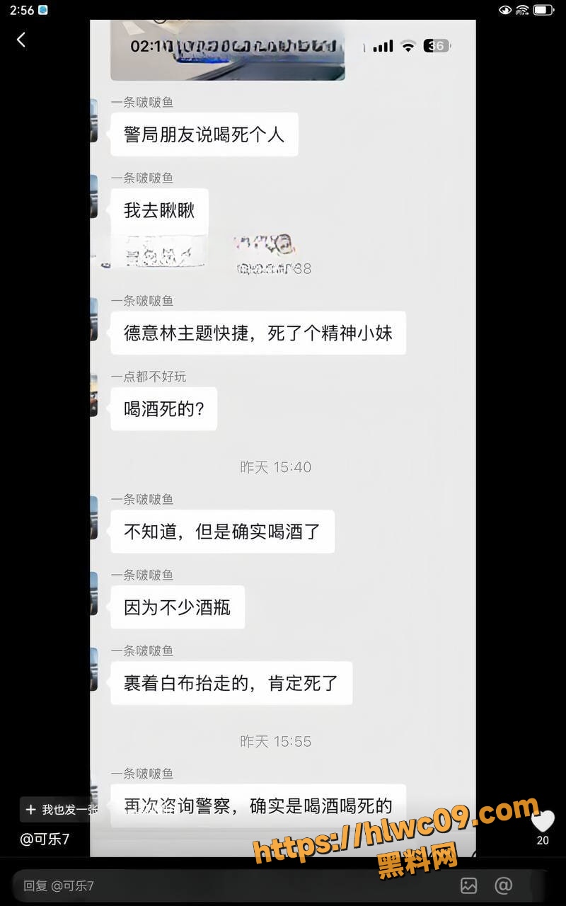 南和得意林4