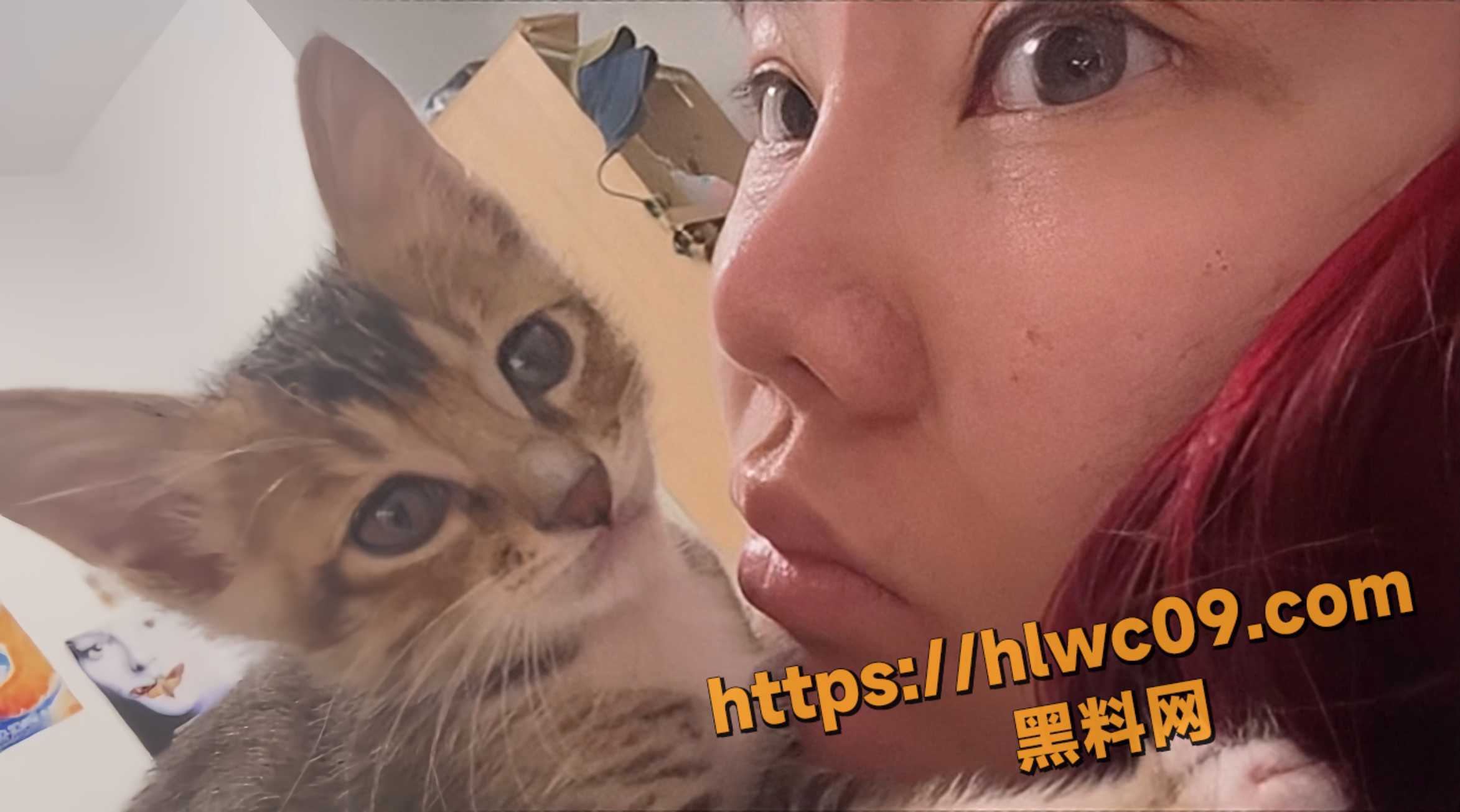 来杯姬尾酒34