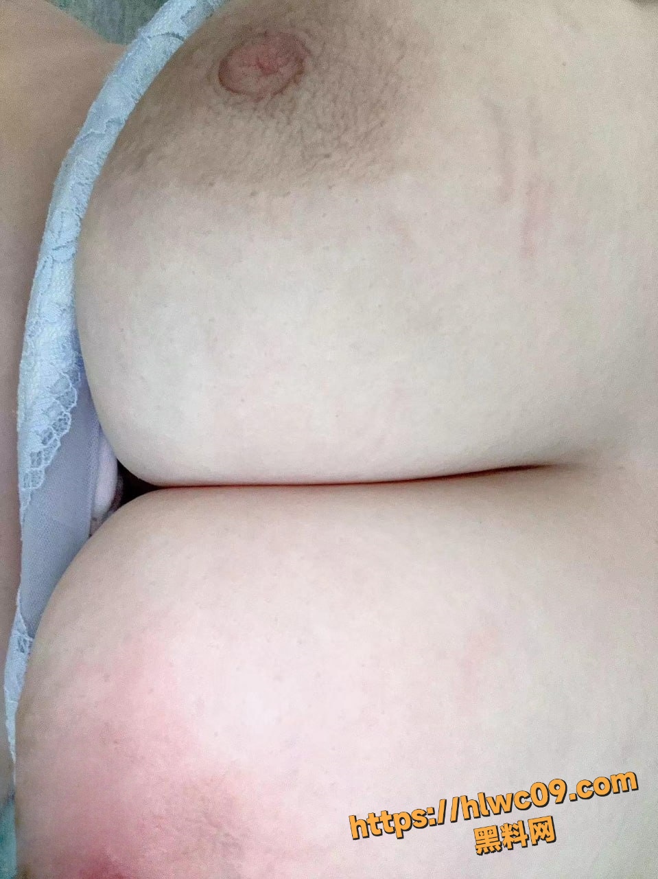 我的巨乳亲表姐8