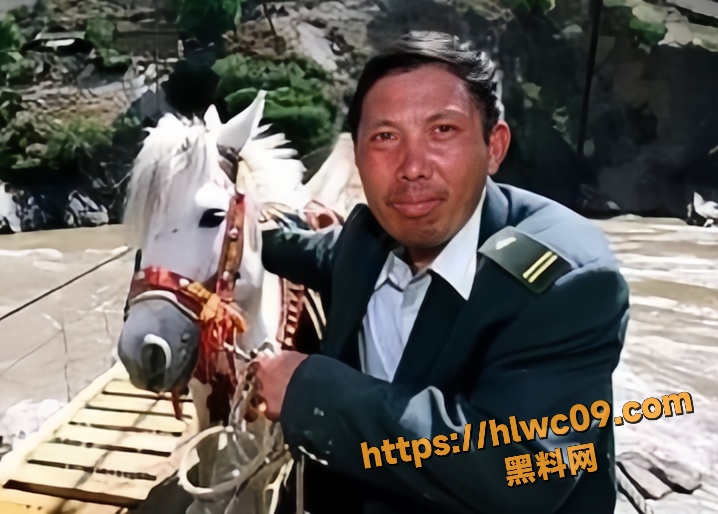 乡村邮递员王友顺1