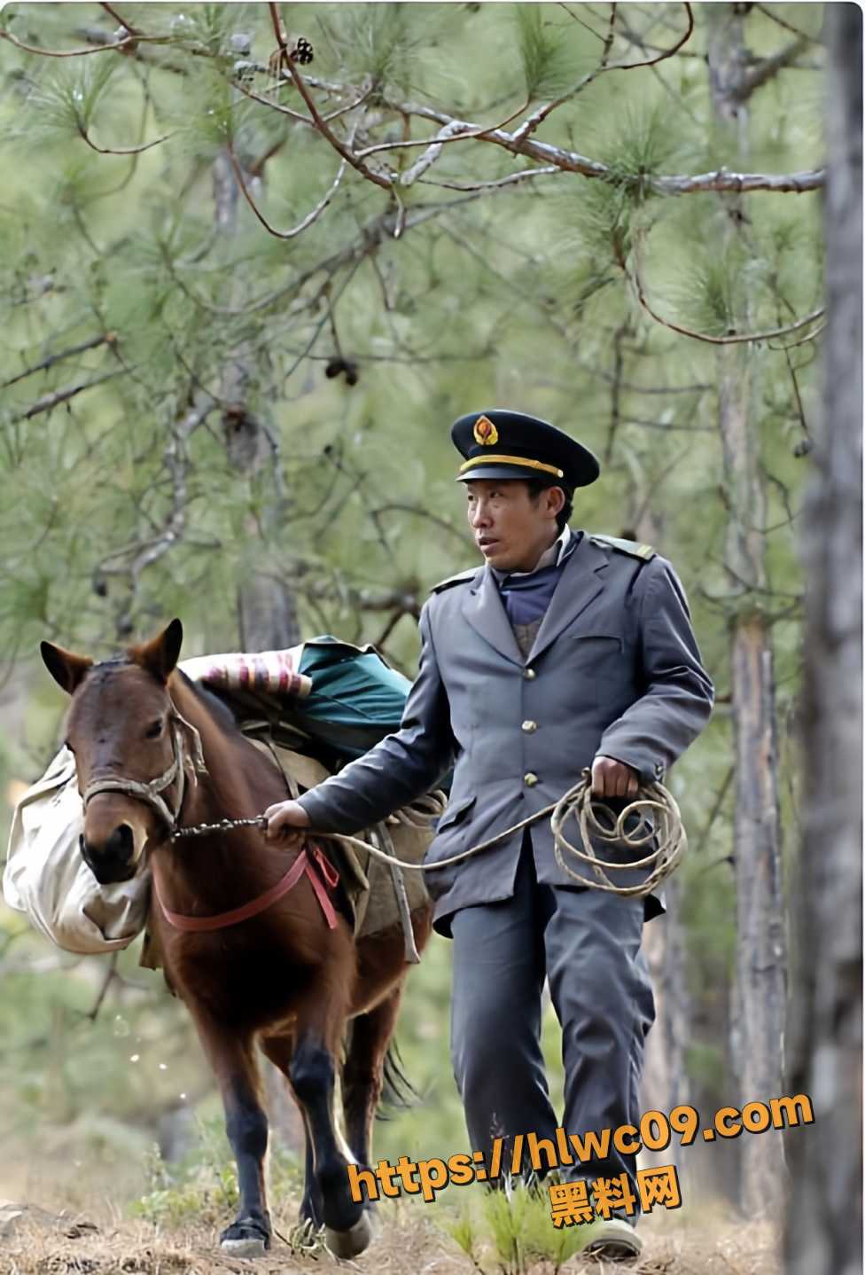 乡村邮递员王友顺3