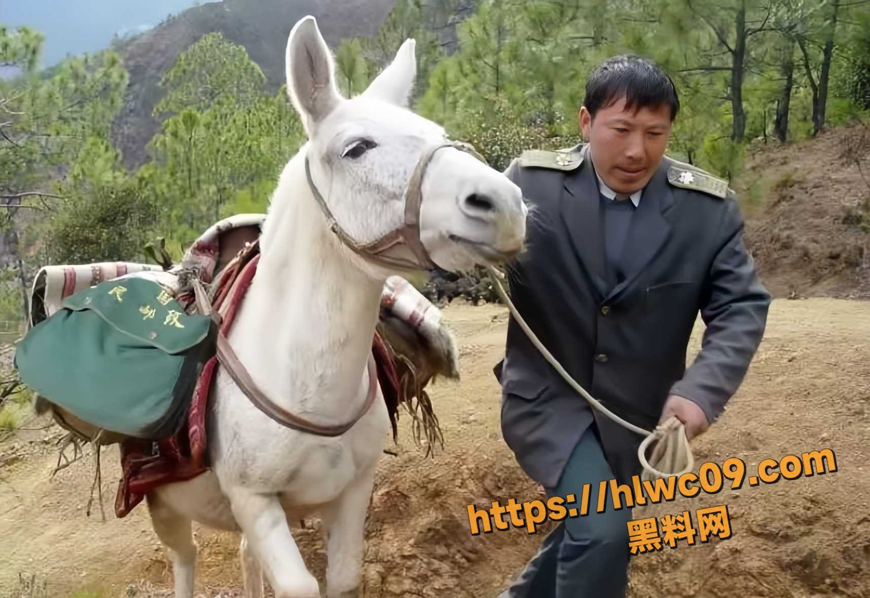 王友顺不平凡的人生7