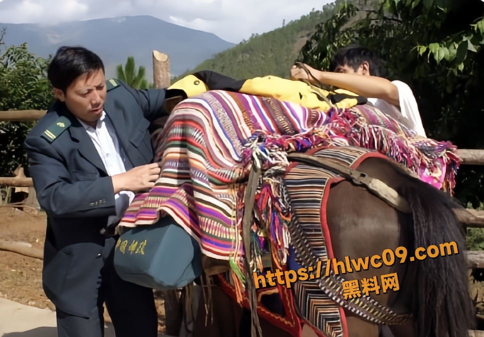致敬缅怀王友顺8