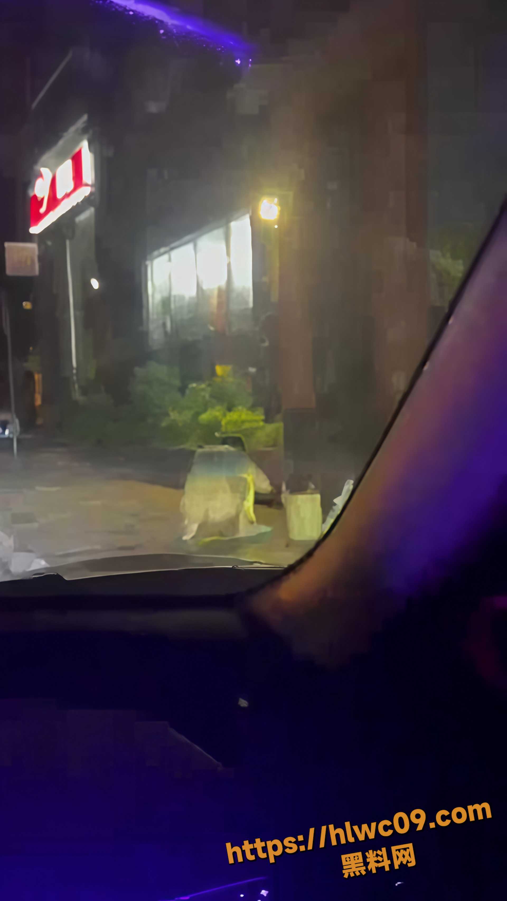 主人的任务4