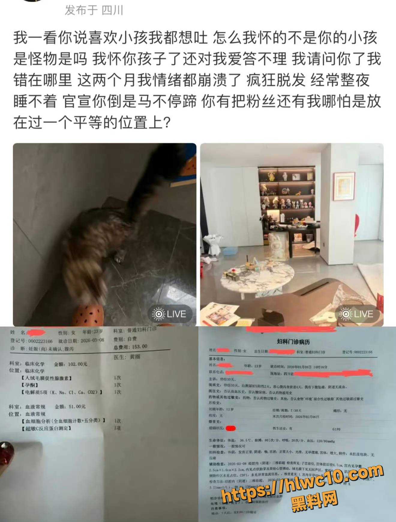 韩汶栩性爱视频27