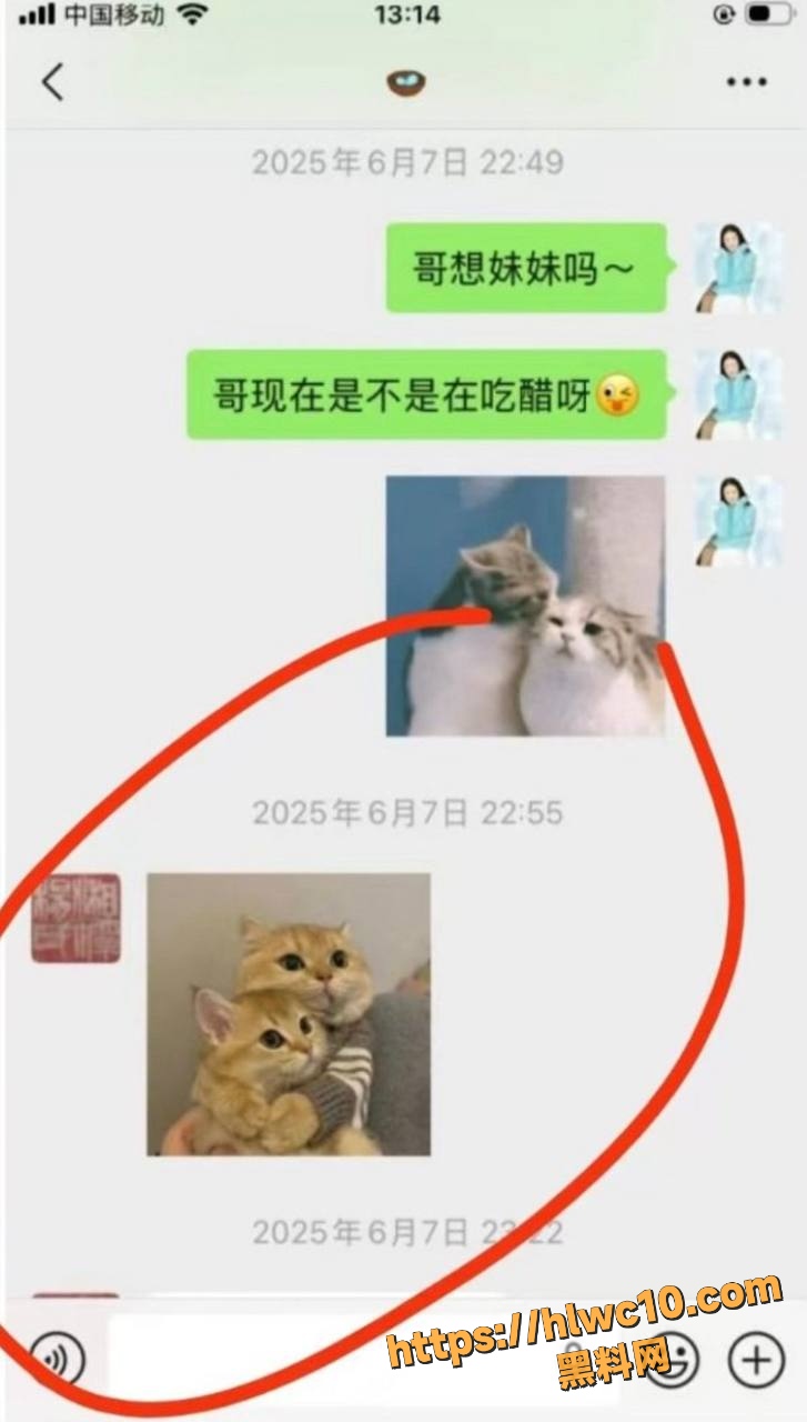 杨念群约炮性爱视频13