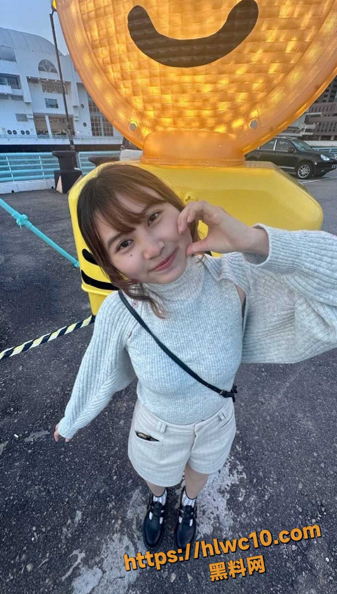 情侣露脸拍摄私密视频1