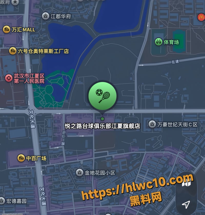悦之路台球厅 1wm