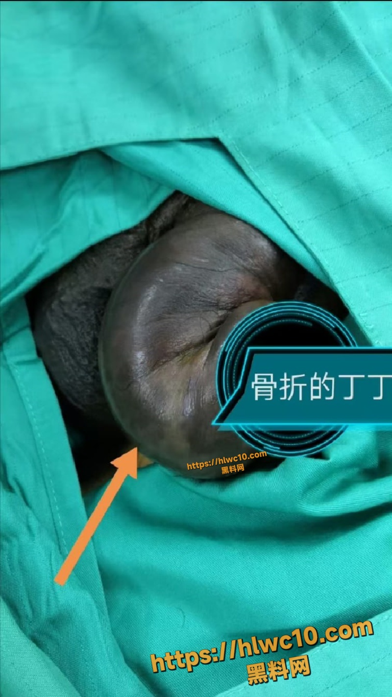 广州17岁高中生自掰丁丁2