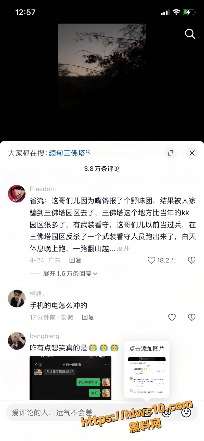 杨磊 11wm