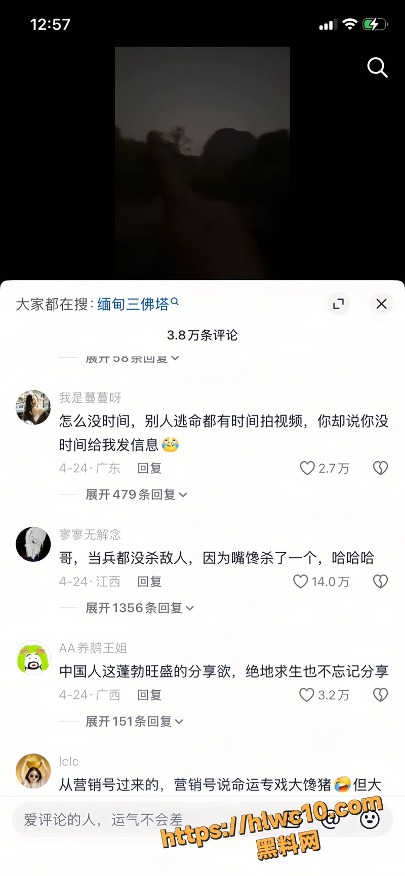 杨磊 12wm