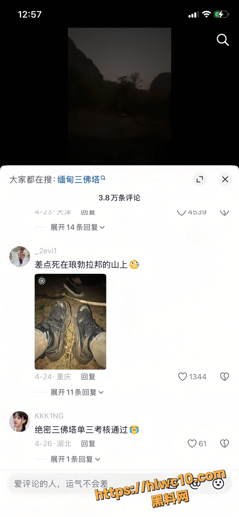 杨磊 13wm