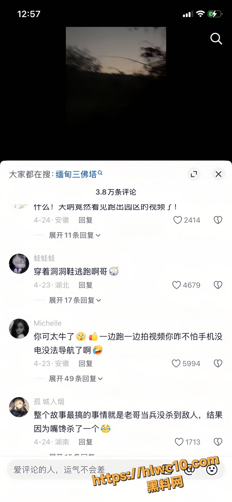 杨磊 14wm
