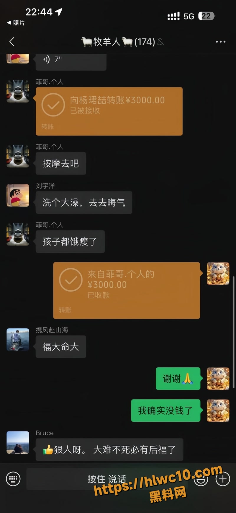 杨磊 28wm