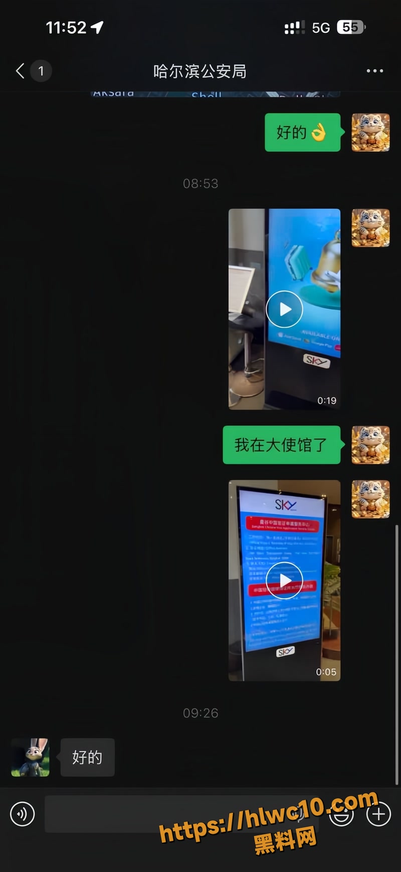 杨磊 30wm
