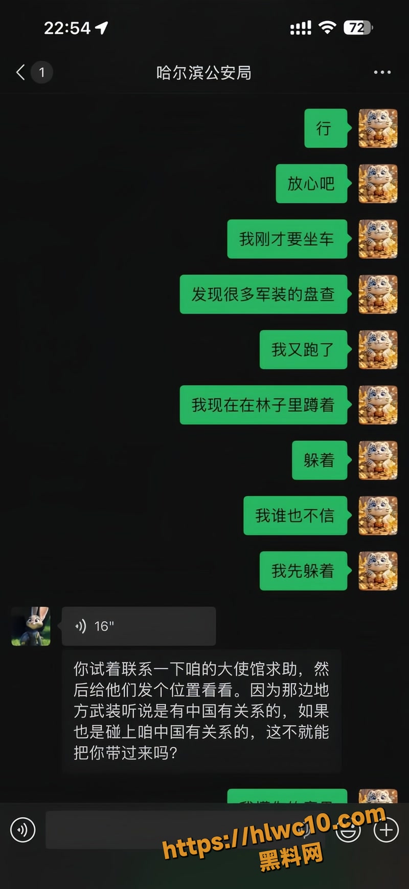 杨磊 33wm