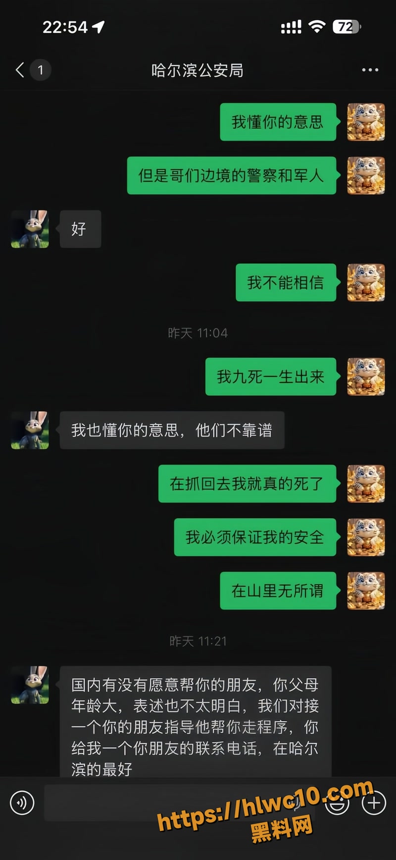 杨磊 32wm