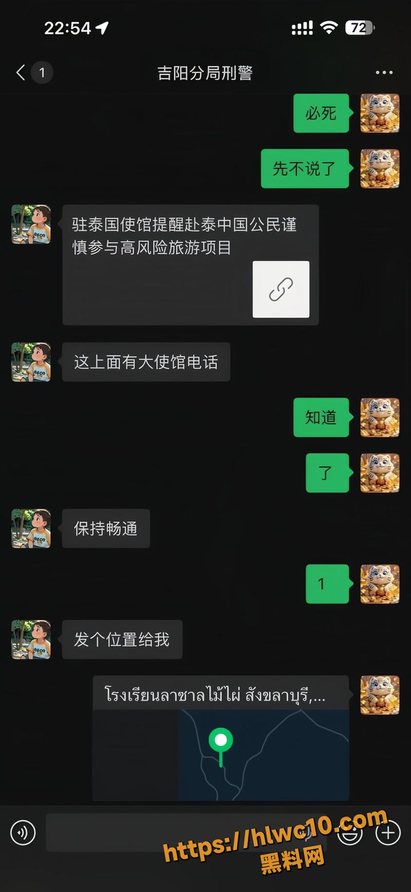 杨磊 36wm
