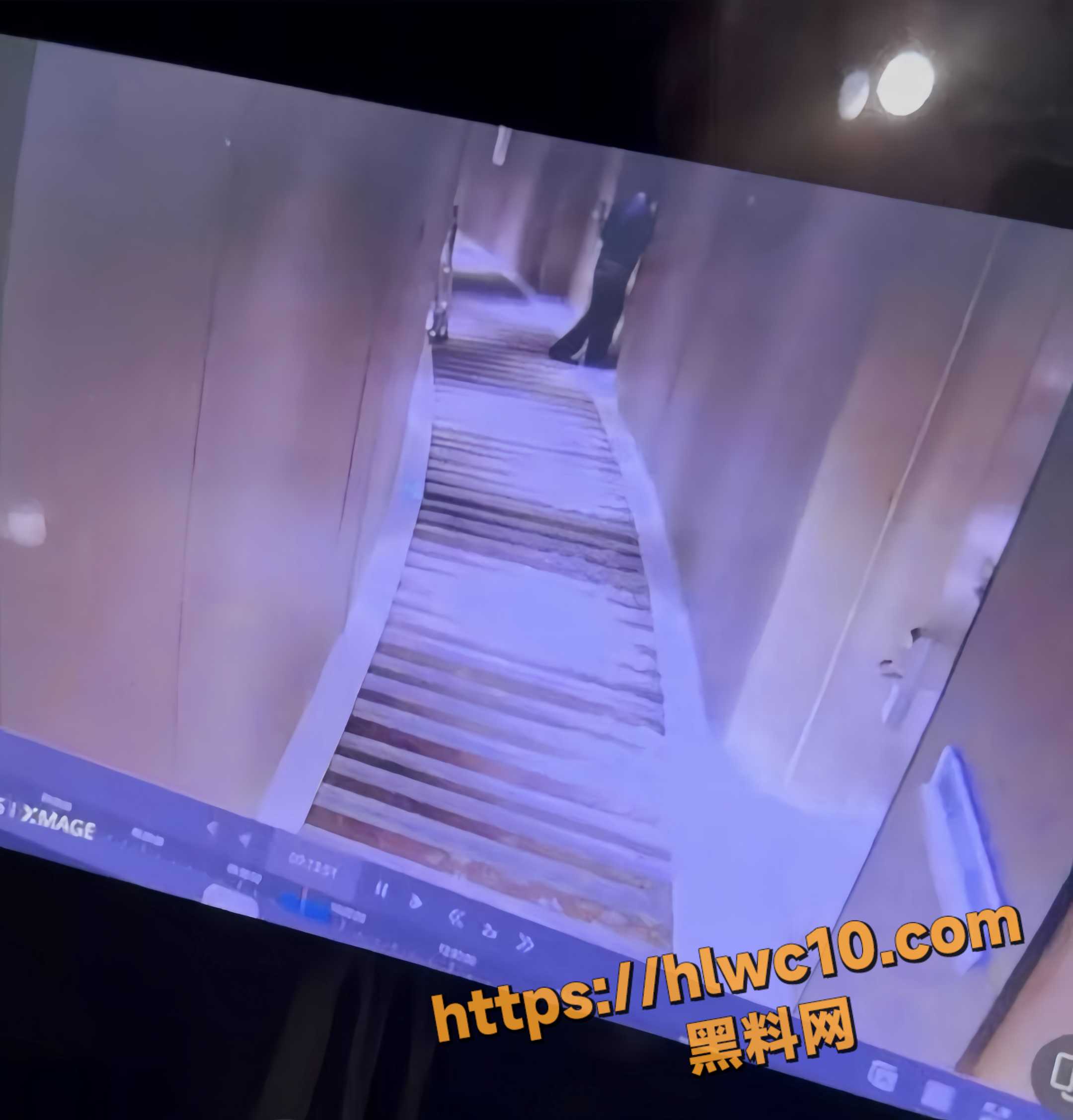 陆宏达不雅视频12