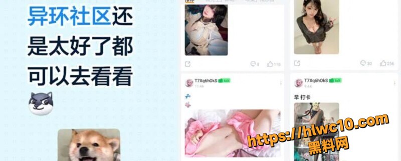 二游塔吉多社区福利1